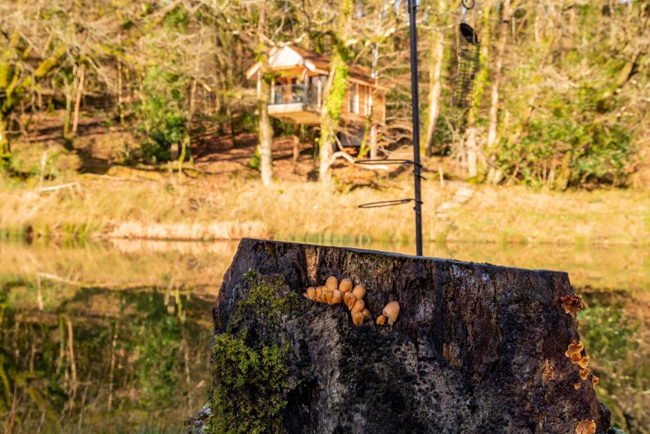 Finest Retreats - The Tree House - Eco-Friendly, Back To Nature Experience Germansweek Екстериор снимка